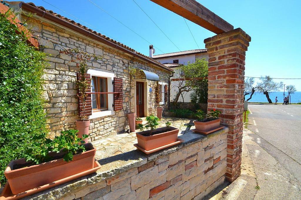 Villa Giardin Novigrad  Bagian luar foto