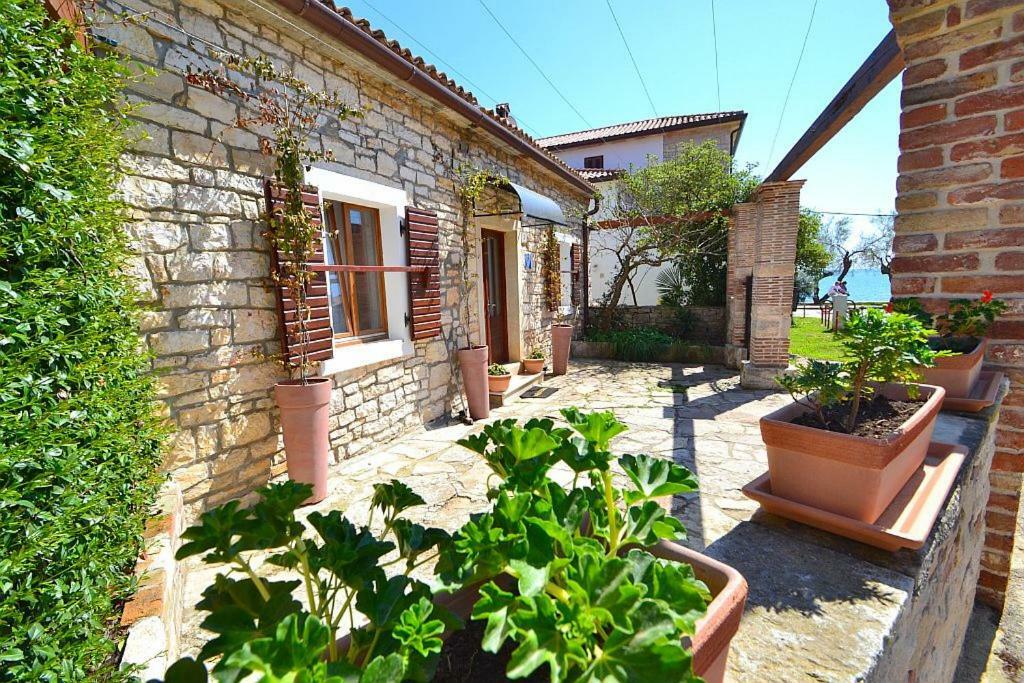 Villa Giardin Novigrad  Bagian luar foto